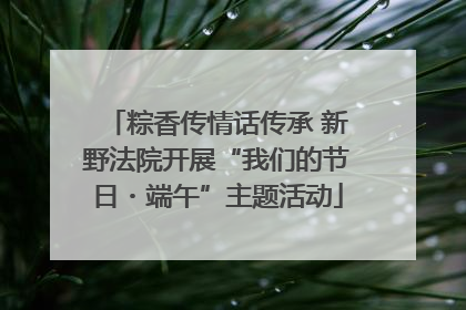 粽香传情话传承 新野法院开展“我们的节日・端午”主题活动