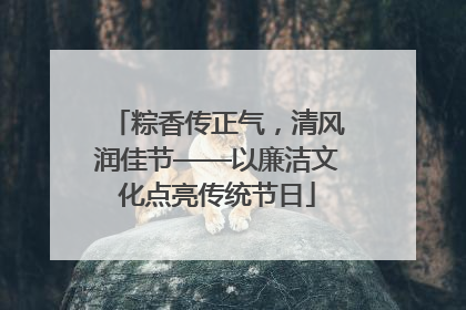 粽香传正气，清风润佳节——以廉洁文化点亮传统节日