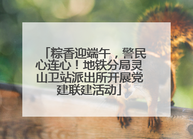 粽香迎端午，警民心连心！地铁分局灵山卫站派出所开展党建联建活动