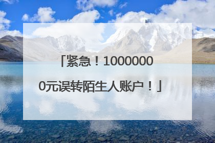 紧急！10000000元误转陌生人账户！