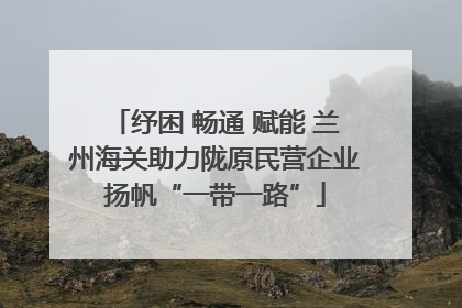 纾困 畅通 赋能 兰州海关助力陇原民营企业扬帆“一带一路”