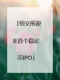 纽交所迎来首个稳定币IPO