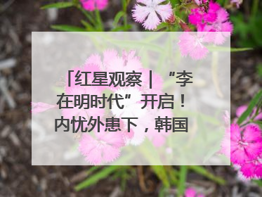 红星观察｜“李在明时代”开启！内忧外患下，韩国能否挽回“失去的三年”？