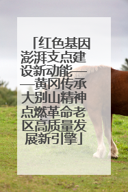 红色基因澎湃支点建设新动能——黄冈传承大别山精神点燃革命老区高质量发展新引擎