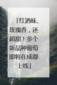 红酒味、玫瑰香，还超甜！多个新品种葡萄即将在成都上线