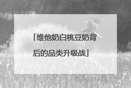 维他奶白桃豆奶背后的品类升级战
