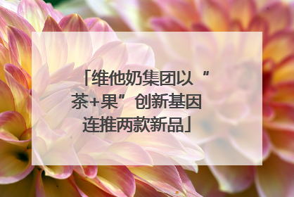 维他奶集团以“茶+果”创新基因连推两款新品