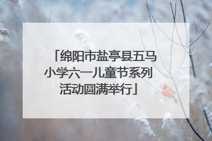 绵阳市盐亭县五马小学六一儿童节系列活动圆满举行