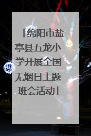 绵阳市盐亭县五龙小学开展全国无烟日主题班会活动