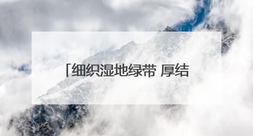 细织湿地绿带 厚结“文旅明珠”——中法武汉生态示范城挖掘绿色发展新动能