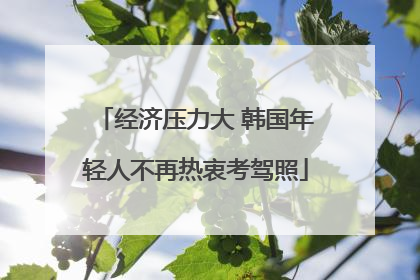 经济压力大 韩国年轻人不再热衷考驾照