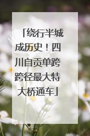 绕行半城成历史！四川自贡单跨跨径最大特大桥通车