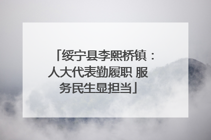 绥宁县李熙桥镇：人大代表勤履职 服务民生显担当