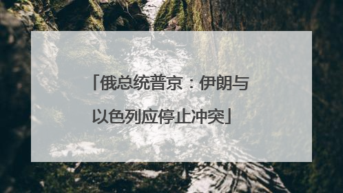 俄总统普京：伊朗与以色列应停止冲突