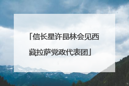 信长星许昆林会见西藏拉萨党政代表团