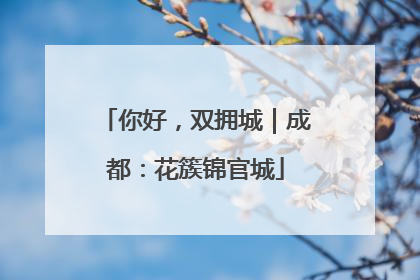 你好，双拥城｜成都：花簇锦官城
