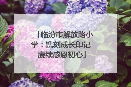 临汾市解放路小学：镌刻成长印记 赓续感恩初心