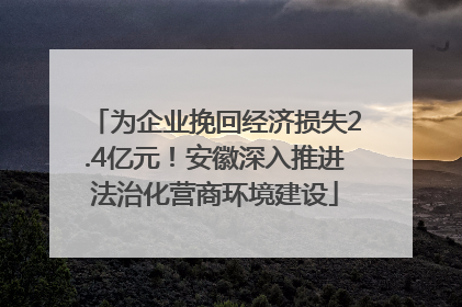 为企业挽回经济损失2.4亿元！安徽深入推进法治化营商环境建设