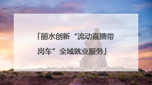 丽水创新“流动直播带岗车”全域就业服务