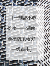 一刻都不敢松劲——湖南桑植防汛救灾一线直击