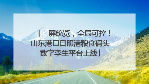 一屏统览，全局可控！山东港口日照港粮食码头数字孪生平台上线