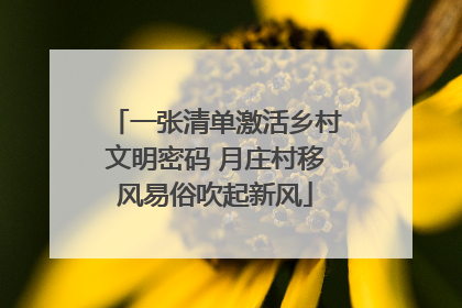 一张清单激活乡村文明密码 月庄村移风易俗吹起新风