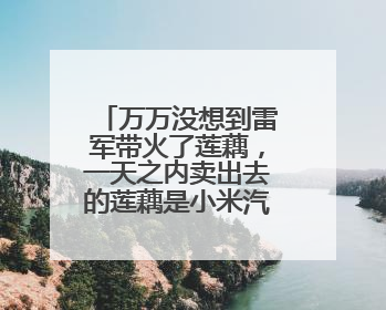 万万没想到雷军带火了莲藕，一天之内卖出去的莲藕是小米汽车的22倍