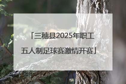 三穗县2025年职工五人制足球赛激情开赛