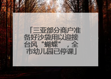 三亚部分商户准备好沙袋用以迎接台风“蝴蝶”，全市幼儿园已停课