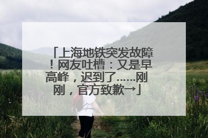 上海地铁突发故障！网友吐槽：又是早高峰，迟到了……刚刚，官方致歉→