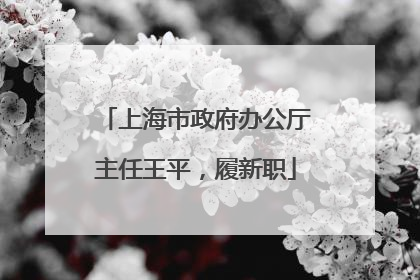 上海市政府办公厅主任王平，履新职