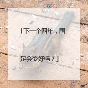 下一个四年，国足会变好吗？