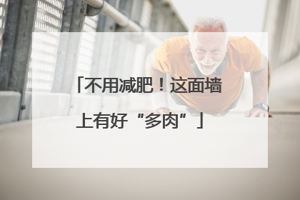 不用减肥！这面墙上有好“多肉”
