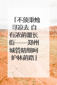 不须秉烛寻凉去 自有浓荫覆长街——郑州城管精细呵护林荫路