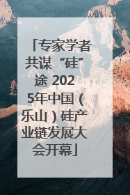 专家学者共谋“硅”途 2025年中国（乐山）硅产业链发展大会开幕