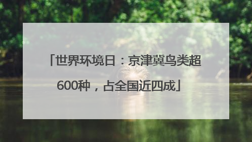 世界环境日：京津冀鸟类超600种，占全国近四成