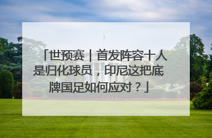 世预赛｜首发阵容十人是归化球员，印尼这把底牌国足如何应对？