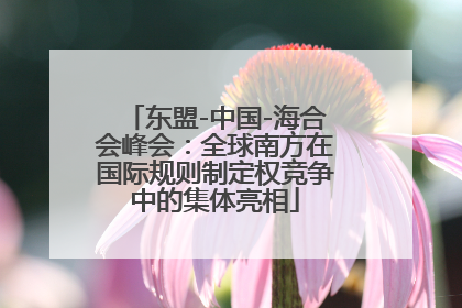 东盟-中国-海合会峰会：全球南方在国际规则制定权竞争中的集体亮相