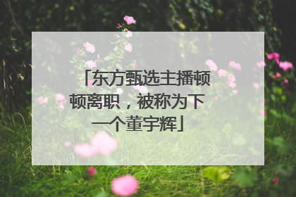 东方甄选主播顿顿离职，被称为下一个董宇辉