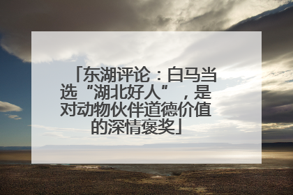 东湖评论：白马当选“湖北好人”，是对动物伙伴道德价值的深情褒奖