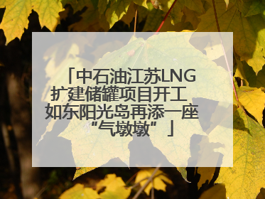 中石油江苏LNG扩建储罐项目开工 如东阳光岛再添一座“气墩墩”