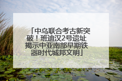 中乌联合考古新突破！班迪汉2号遗址揭示中亚南部早期铁器时代城邦文明