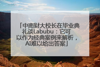 中南财大校长在毕业典礼谈Labubu：它可以作为经典案例来解析，AI难以给出答案