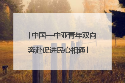 中国—中亚青年双向奔赴促进民心相通