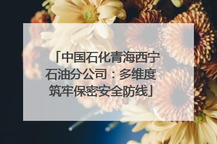 中国石化青海西宁石油分公司：多维度筑牢保密安全防线