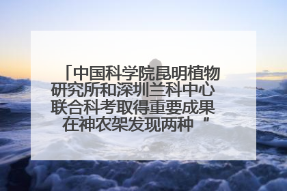 中国科学院昆明植物研究所和深圳兰科中心联合科考取得重要成果 在神农架发现两种“国保”级兰花
