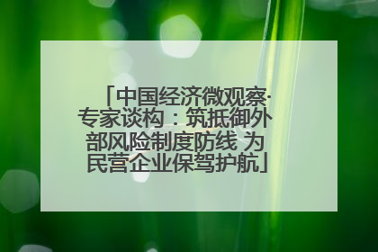 中国经济微观察·专家谈构：筑抵御外部风险制度防线 为民营企业保驾护航