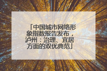 中国城市网络形象指数报告发布，泸州：治理、宜居方面的双优典范