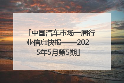 中国汽车市场一周行业信息快报——2025年5月第5期