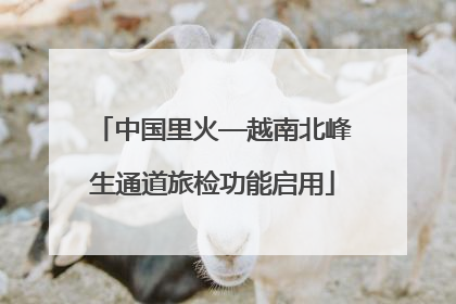 中国里火—越南北峰生通道旅检功能启用